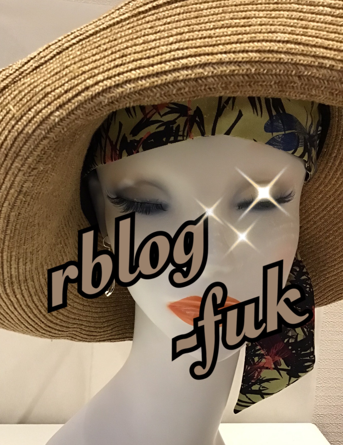 rblog-fuk